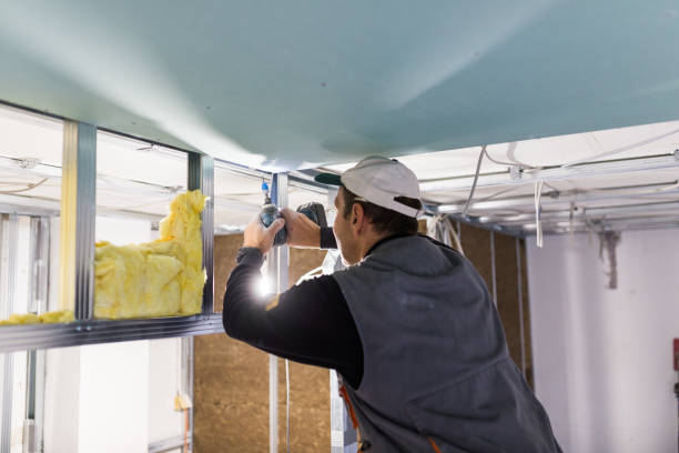 Best Local Insulation Services  in Coudersport, PA